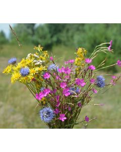 Dziecko pojemność oraz kolor v2